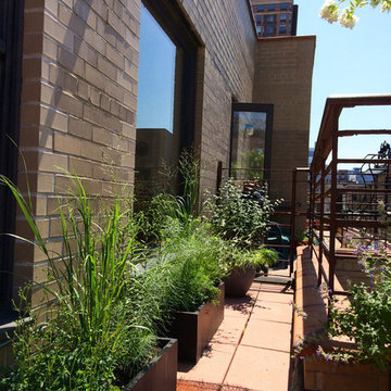 Staghorn NYC Rooftop Gardens