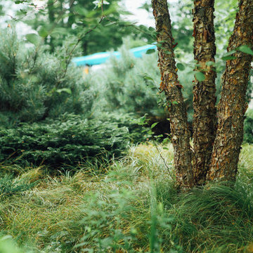 Complete Landscape Design and Installation in Hancock, NH