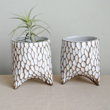 Planters And Plant