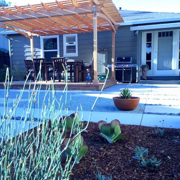 Willow Glen Modern Zen Garden