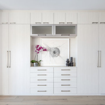 Elegant Space-Saving External Wardrobe with Media Alcove