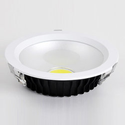 LED 20w down light - Ceiling Lighting