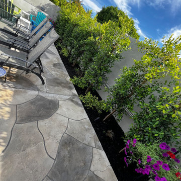Poolside Transformation in Phoenix