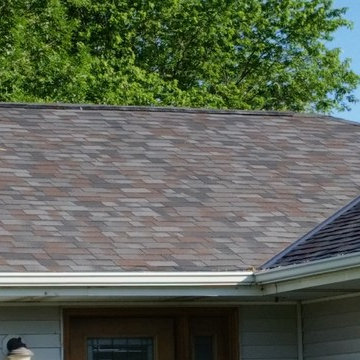 Legacy - Black Oak