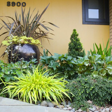 Raleigh Hills Renovation