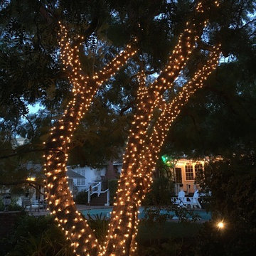 Tree Wrapping - Light Strings