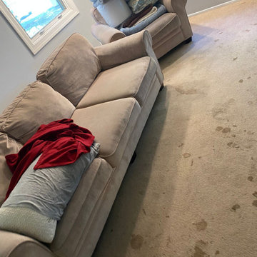 Installation: Luxury Vinyl Plank & Laminate