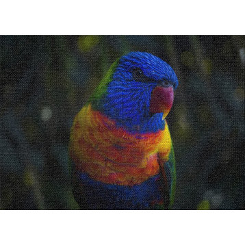 Colorful Parrot Area Rug, 5'0"x7'0"