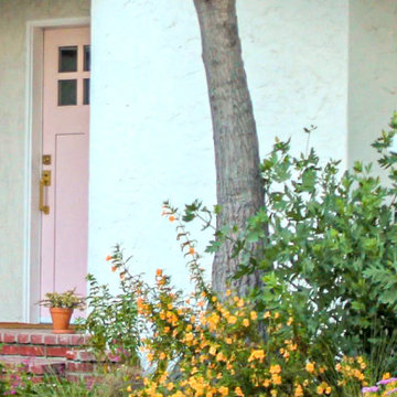 Royal California Native Frontyard Plant Bundle