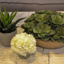 Decor & Accessories - Decorative Accents
