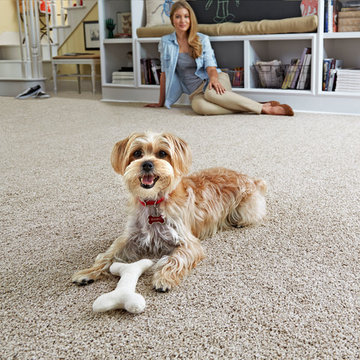 STAINMASTER® PetProtect™ carpet