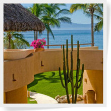 Bamboo Poles for Sale in Florida