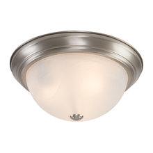 Hallway/Family Room/Bedroom Light Fixture