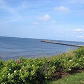 Foto von Meredith O'Neill