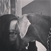 Nicole Farrell's photo