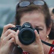 Liz Belitz's photo