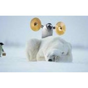 Anthony Uy's photo