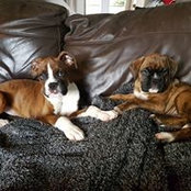 Hannah Lear's photo