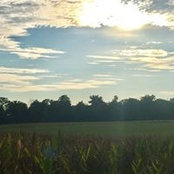 Carrie Moore's photo