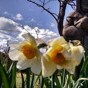 Kelly Jacobs's photo