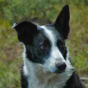 Steve Schweitzer's photo