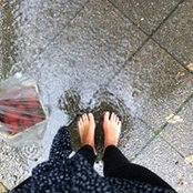 Sabi Wasabi's photo