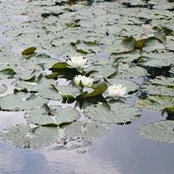 Susanne Lundquist's photo