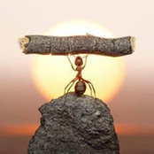 Javier Canales's photo