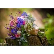 Joyce Miller's photo