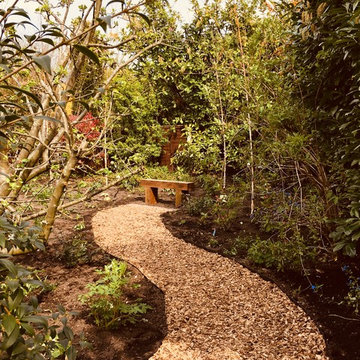 Creating a revitalised and edible garden