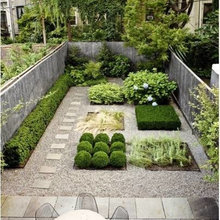Landscape Ideas