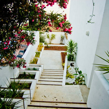 Jardín tropical - minimalista en Monte de los Almendros
