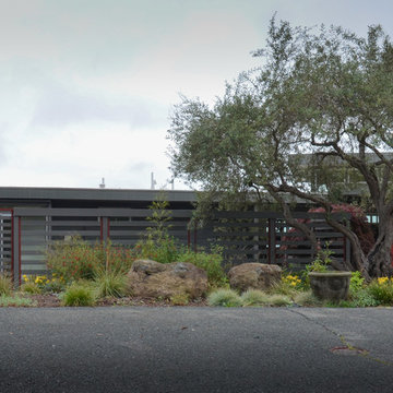 Garden for a modern house