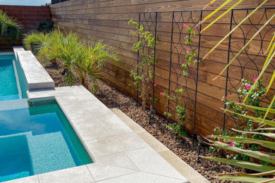 Design ideas for a modern drought-tolerant wood fence landscaping in Las Vegas.