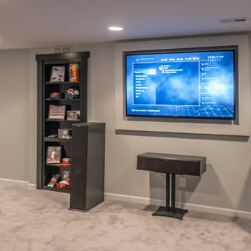 Modern Basement