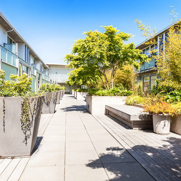 Lumen Condominium