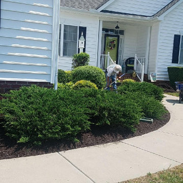 Residential Landscaping Services - Front Plant Bed Shrubs