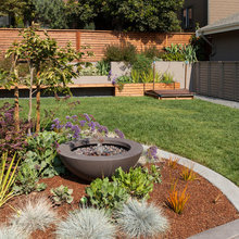 AA Backyard