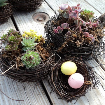Container Gardens and Succulent Arrangements