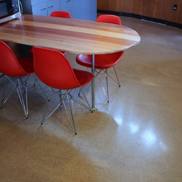 Circle House - Residential Polished Concrete