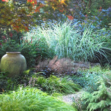 Japanese Garden