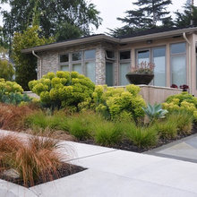 Garden and landscape ideas