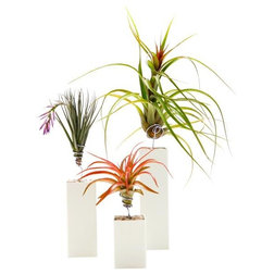 Modern Indoor Pots And Planters by AHAlife