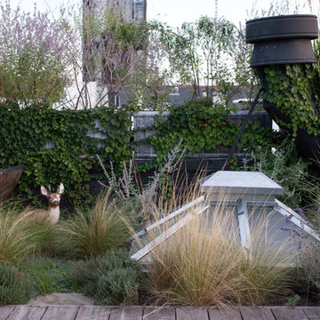 FORT GREENE ROOF GARDEN