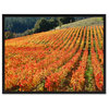 Sonoma Wine Country Landscape Photo Print on Canvas with Picture Frame, 28"x37"