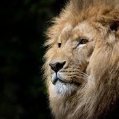 Dawson Allen's photo