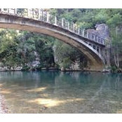 Jonathan Levy's photo