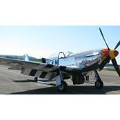 Mike Davis's photo