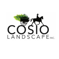 Cosio Landscape