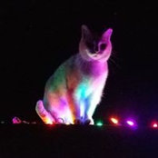 Cathy Teel's photo